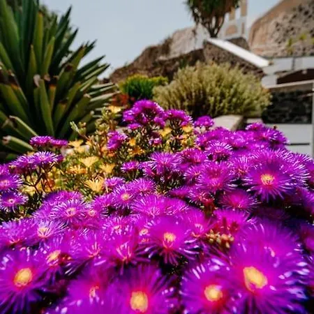 Star Cactus Traditional Cave With Jacuzzi * 메사리아