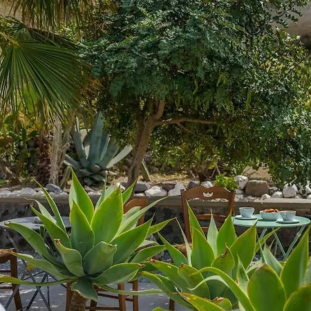 Star Cactus Traditional Cave With Jacuzzi וילה