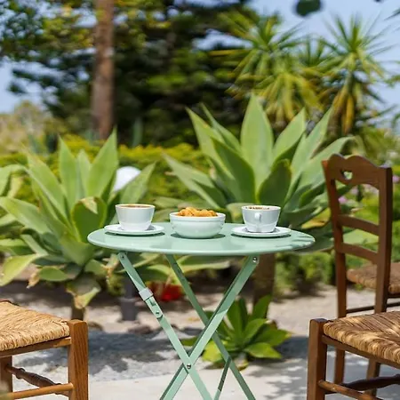 Star Cactus Traditional Cave With Jacuzzi