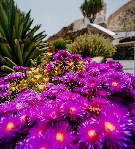 Star Cactus Traditional Cave With Jacuzzi * Μεσαριά